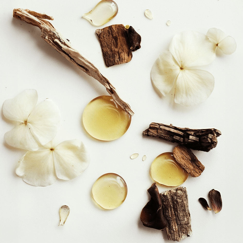 Grass-Fed Whipped Tallow WC